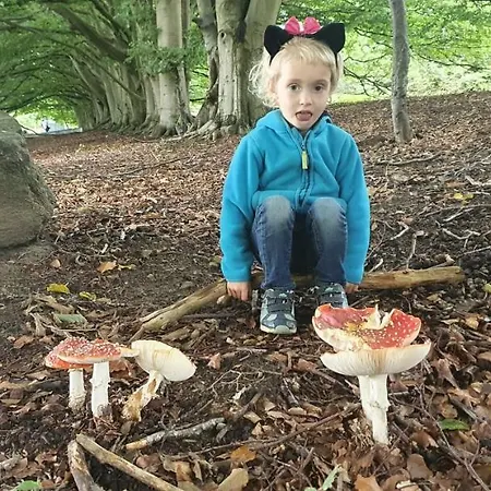 Vera, Naehe Binz In Traumhafter Alleinlage, 4-8 P. Zirkow