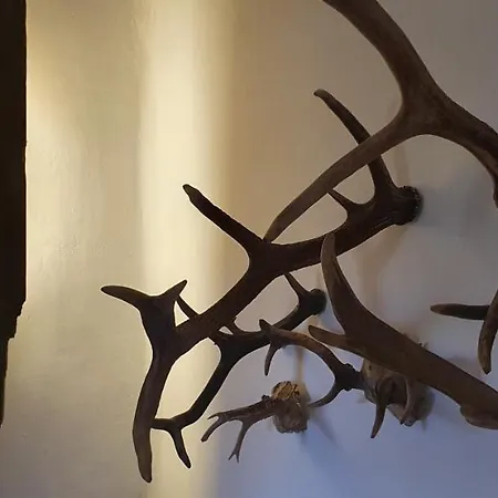 公寓 Vera, Naehe Binz In Traumhafter Alleinlage, 4-8 P. Zirkow