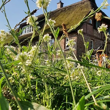 Apartment Vera, Naehe Binz In Traumhafter Alleinlage, 4-8 P. Zirkow