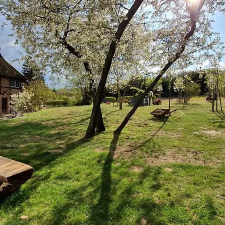 Vera, Naehe Binz In Traumhafter Alleinlage, 4-8 P. * Zirkow