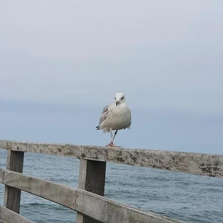 公寓 Vera, Naehe Binz In Traumhafter Alleinlage, 4-8 P. *